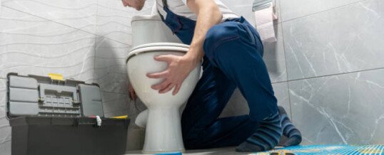 How to Know When You Need a Plumber for a Toilet Repair