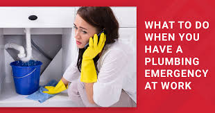 How to Identify a Plumbing Emergency and What to Do Next