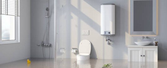 Toilet Overflow Cleanup: What to Do After a Toilet Flood