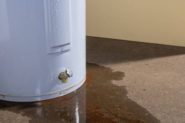Water leaking from a residential electric water heater